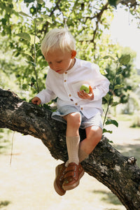 Petit Nord Copenhagen Cognac Clover Low Sneakers
