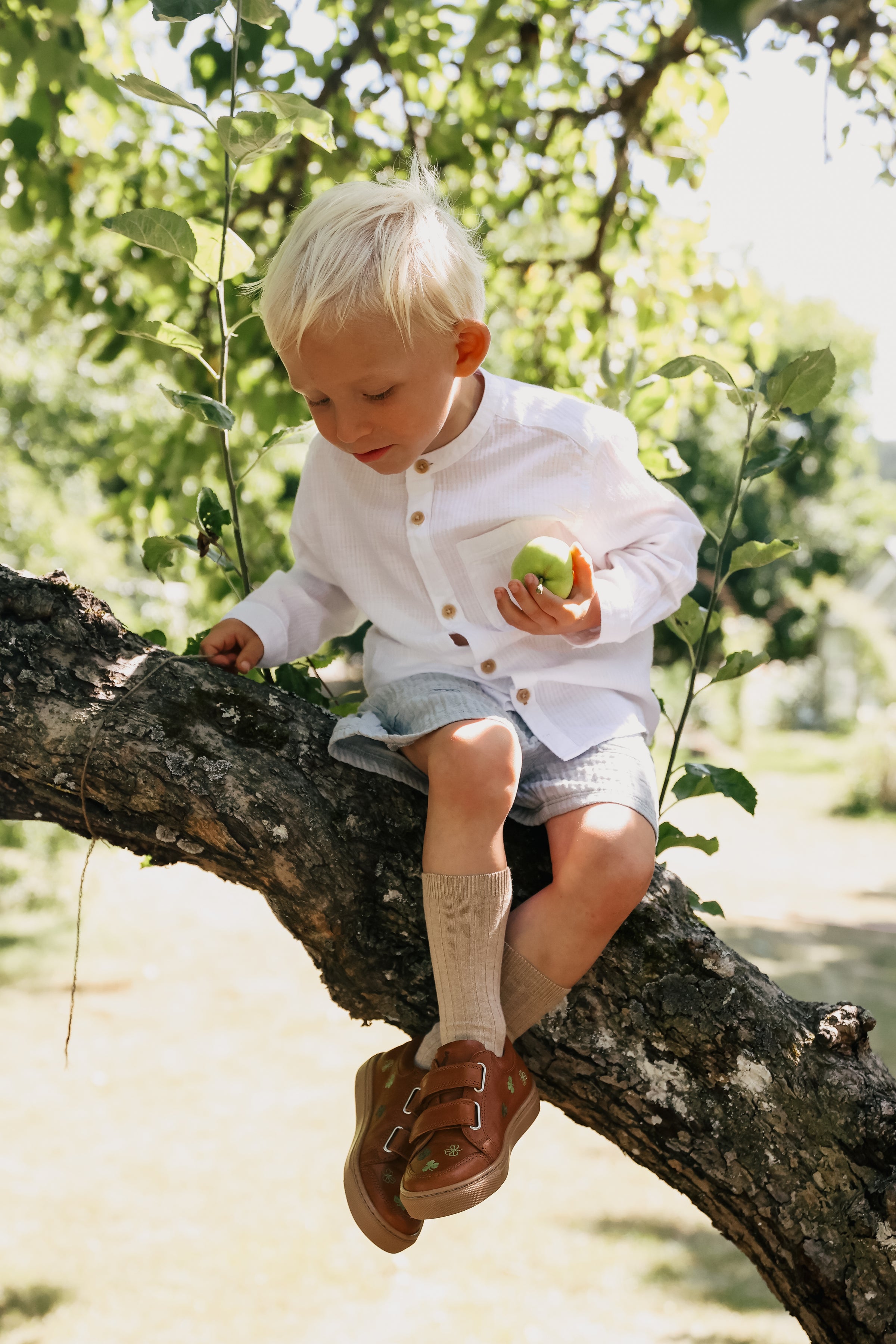 Petit Nord Copenhagen Cognac Clover Low Sneakers